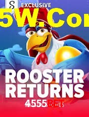 Crash Games Statistics 4555bet